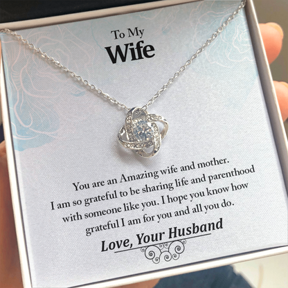 To My Wife, An Amazing Wife And Mother Eternal Love Luxury Pendant Necklace Gift