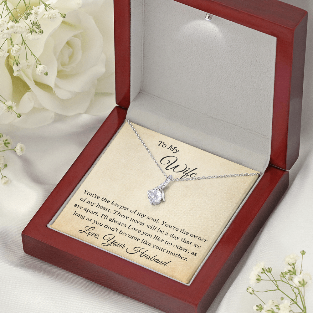 To My Wife Owner Of My Heart 14K White Gold Finish Luxury Pendant Necklace With Humorous Card